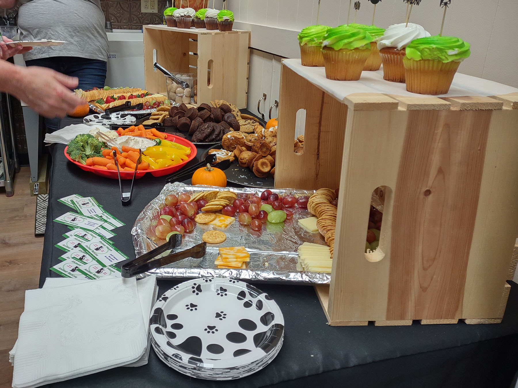 Ahimsa Haven new shelter Open House