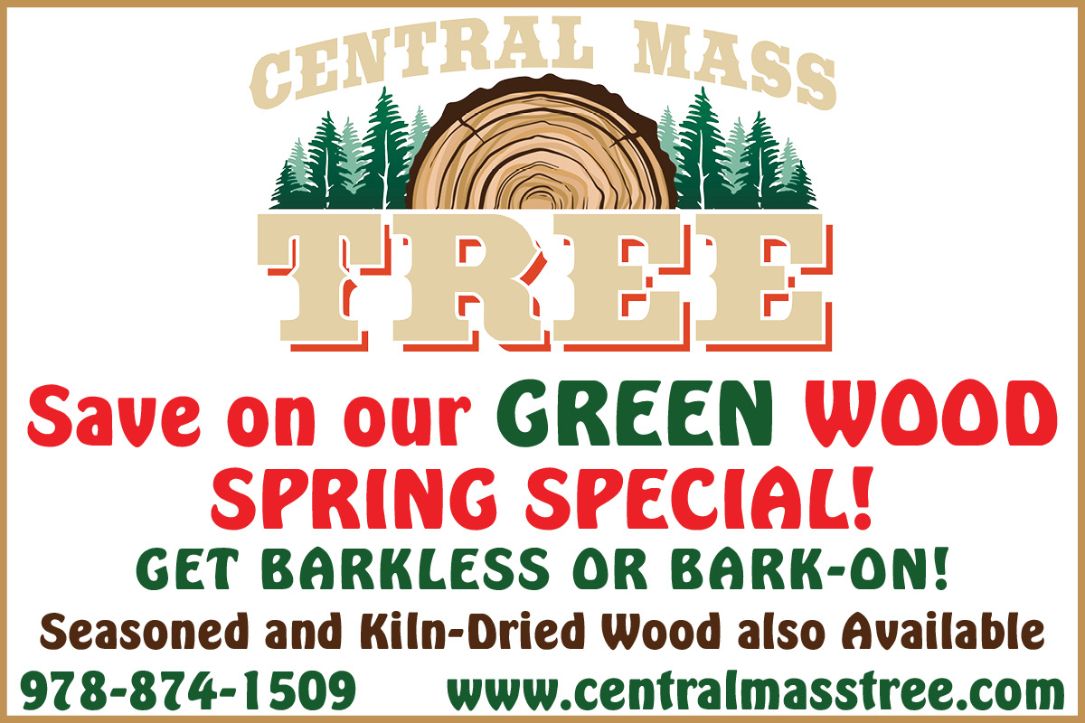 Central Mass Tree